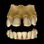 3D Imaging demo